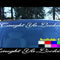 Windshield Decals
