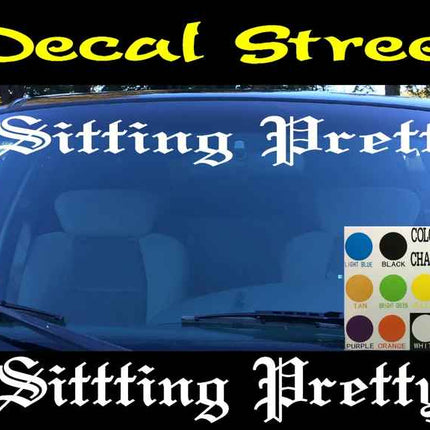 Sitting Pretty Car/Truck Windshield | Visor Die Cut | Vinyl Decal Sticker